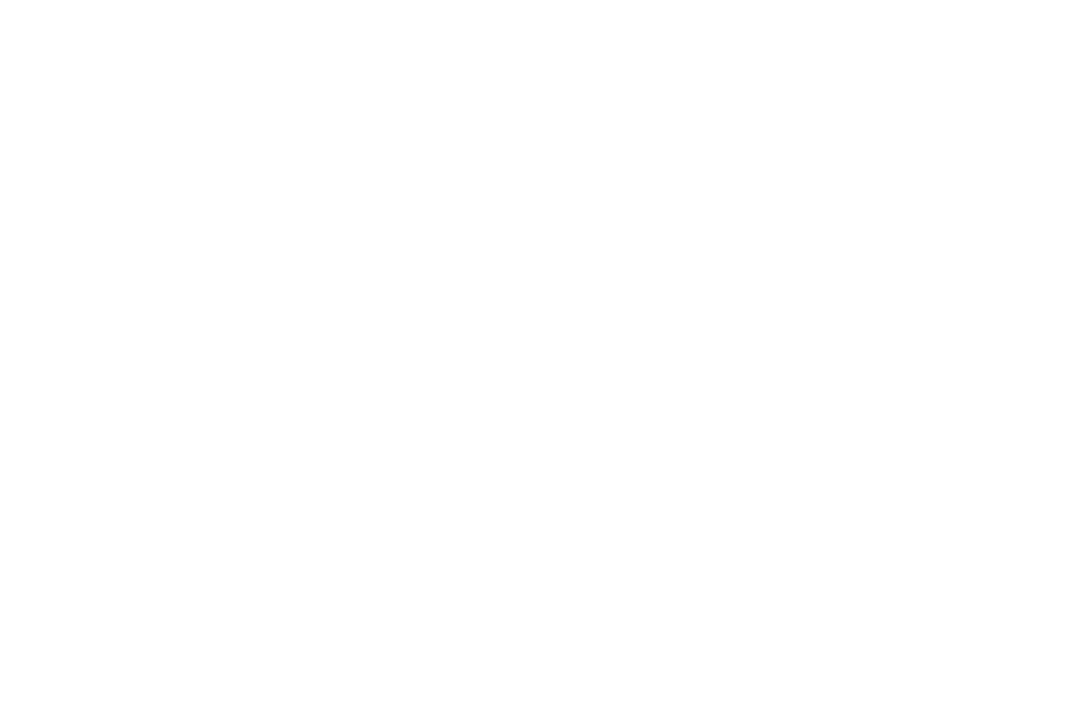 Logo Swiss Racing blanc